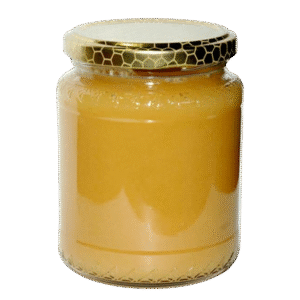 Miele di eucalipto Bio